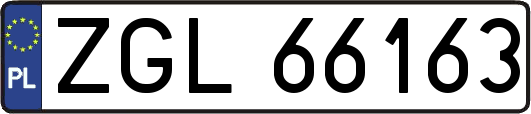 ZGL66163