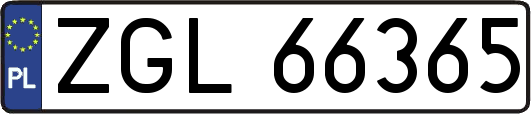 ZGL66365