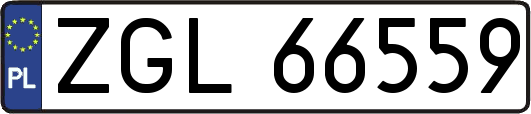 ZGL66559