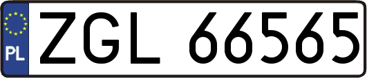 ZGL66565