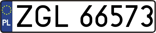 ZGL66573