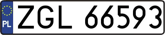 ZGL66593