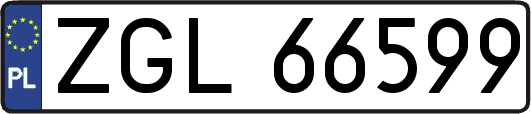 ZGL66599