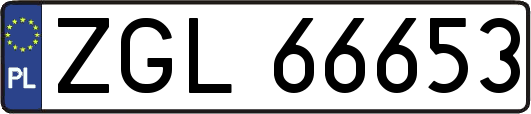 ZGL66653