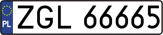 ZGL66665
