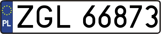 ZGL66873