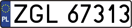 ZGL67313