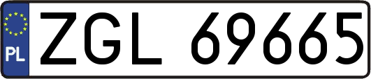 ZGL69665