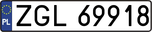 ZGL69918