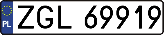 ZGL69919