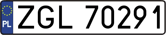 ZGL70291