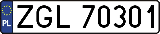 ZGL70301