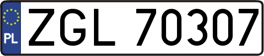 ZGL70307