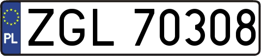 ZGL70308