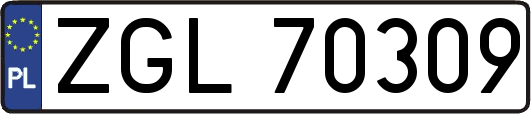 ZGL70309