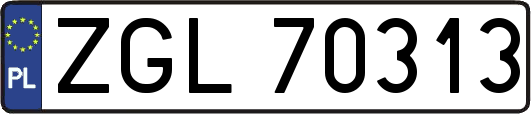 ZGL70313