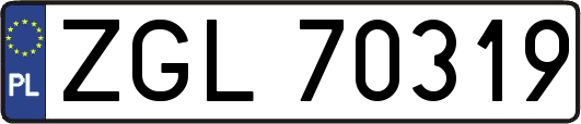 ZGL70319