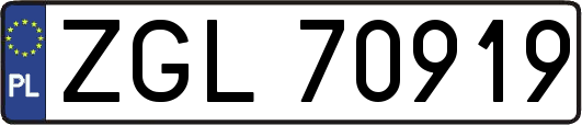 ZGL70919