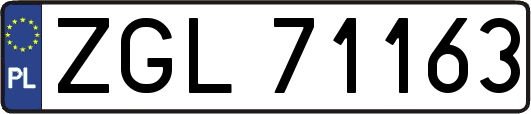 ZGL71163