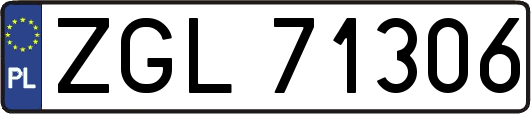 ZGL71306