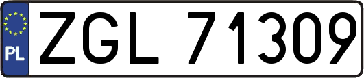 ZGL71309