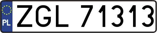 ZGL71313