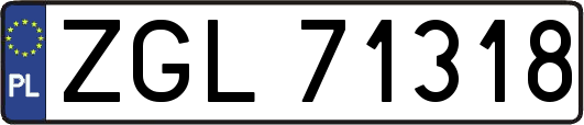 ZGL71318