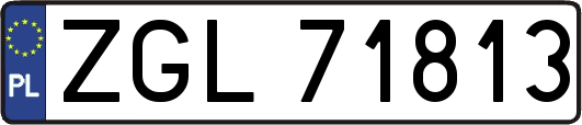 ZGL71813