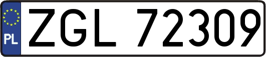 ZGL72309