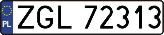 ZGL72313
