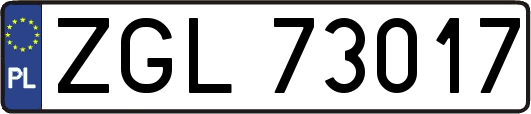 ZGL73017