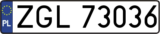 ZGL73036