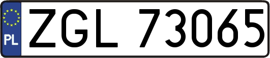 ZGL73065