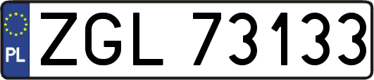 ZGL73133