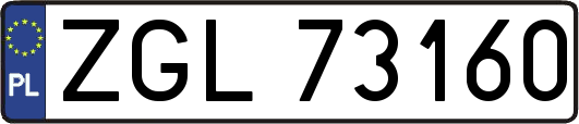 ZGL73160
