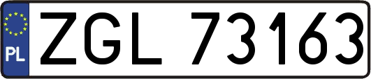 ZGL73163