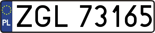 ZGL73165