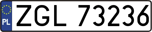 ZGL73236