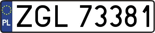 ZGL73381