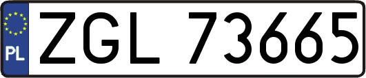 ZGL73665