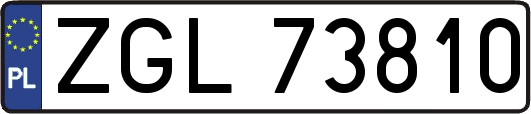 ZGL73810