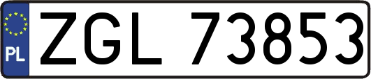 ZGL73853