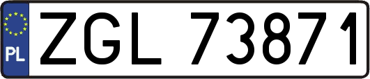 ZGL73871