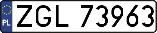 ZGL73963
