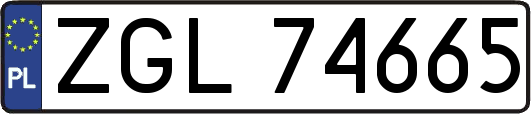 ZGL74665