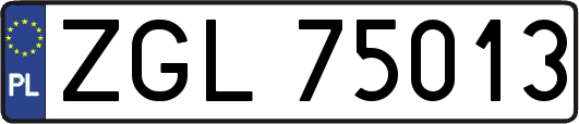 ZGL75013