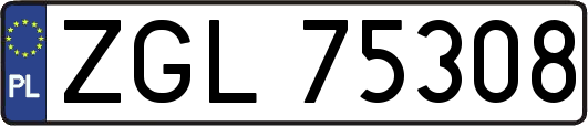 ZGL75308