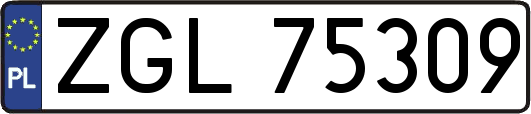 ZGL75309