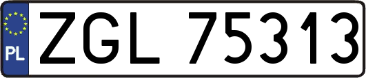 ZGL75313