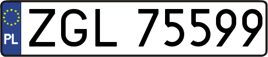 ZGL75599
